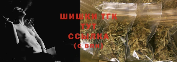гидра Заволжск