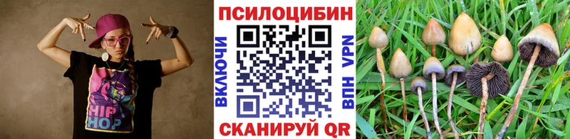 Галлюциногенные грибы мицелий  Купить где  Сосновый Бор 